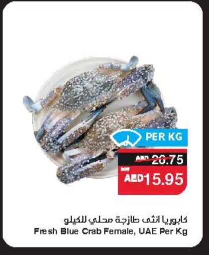 Fresh Fish in SPAR Hyper Market , UAE Offers - United Arab Emirates available at SPAR Hyper Market in UAE - Ras al Khaimah