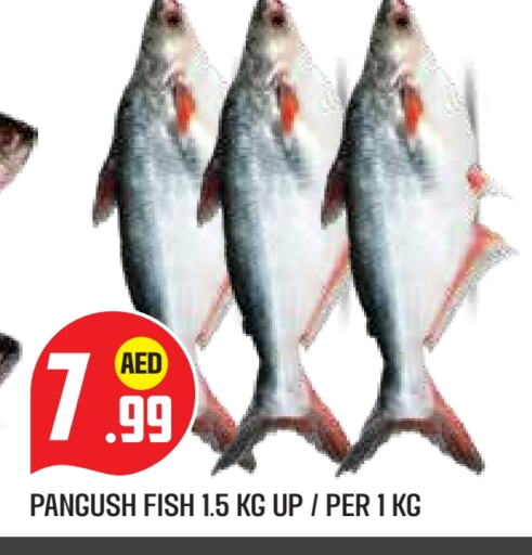 Fresh Fish in Baniyas Spike , UAE Offers - United Arab Emirates available at Baniyas Spike in UAE - Abu Dhabi