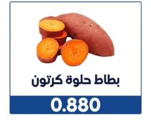 الخضروات الطازجة in جمعية الوفرة التعاونية, الكويت Offers - الكويت available at جمعية الوفرة التعاونية in الكويت - محافظة الأحمدي