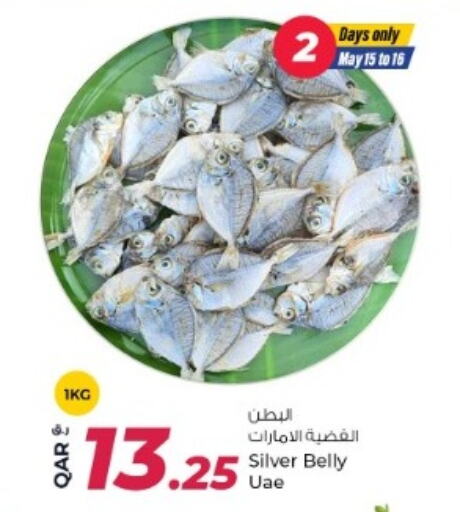 Fresh Fish in Rawabi Hypermarket, Qatar Offers - Qatar available at Rawabi Hypermarket in Qatar - Al Shamal