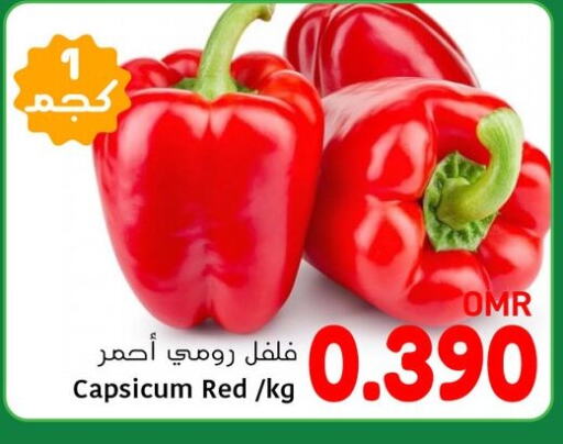 Chilli / Capsicum available at Al Amri Center in Oman - Sohar