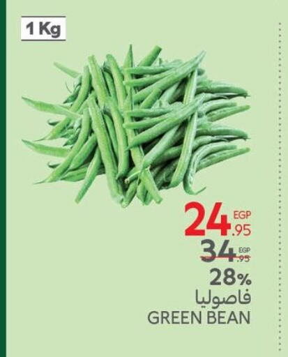 Fresh Vegetables in Carrefour , Egypt Offers - Egypt available at Carrefour in Egypt - Cairo