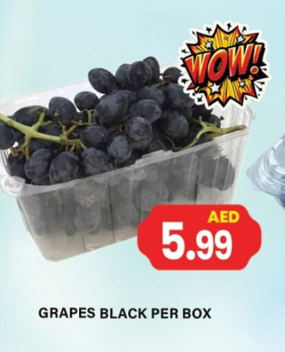 Fresh Fruits in Gulf Hypermarket LLC, UAE Offers - United Arab Emirates Grapes available at Gulf Hypermarket LLC in UAE - Ras al Khaimah
