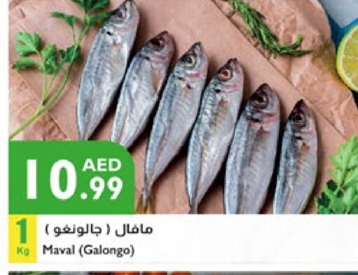 available at Istanbul Supermarket in UAE - Ras al Khaimah