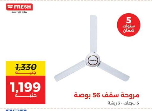 Small Appliances in Raneen, Egypt Offers - Egypt FRESH Fan available at Raneen in Egypt - Cairo