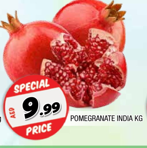 رمان from India available at المدينة in الإمارات العربية المتحدة , الامارات - الشارقة / عجمان