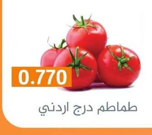 Tomato available at Al Rumaithya Co-Op  in Kuwait - Kuwait City