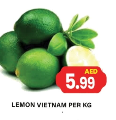 Fresh Vegetables in Gulf Hypermarket LLC, UAE Offers - United Arab Emirates Lemon from Vietnam available at Gulf Hypermarket LLC in UAE - Ras al Khaimah