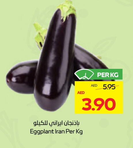 Eggplant available at ADCOOP in UAE - Al Ain