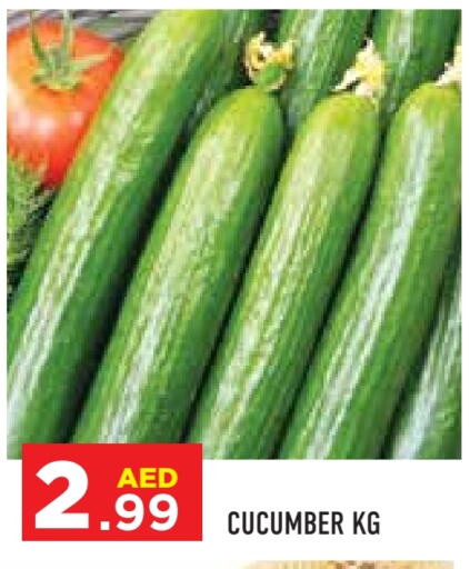 خيار available at سنابل بني ياس in الإمارات العربية المتحدة , الامارات - رَأْس ٱلْخَيْمَة