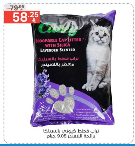 الحيوانات الأليفة in نوري سوبر ماركت, المملكة العربية السعودية Offers - المملكة العربية السعودية available at نوري سوبر ماركت in مملكة العربية السعودية, السعودية, سعودية - جدة