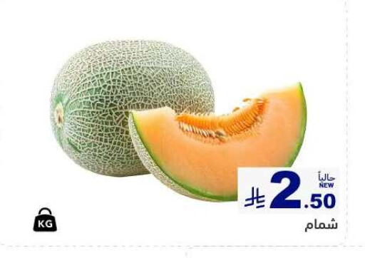 Fresh Fruits in Aswaq Ramez, Saudi Arabia Offers - Saudi Arabia Sweet melon available at Aswaq Ramez in KSA, Saudi Arabia, Saudi - Tabuk