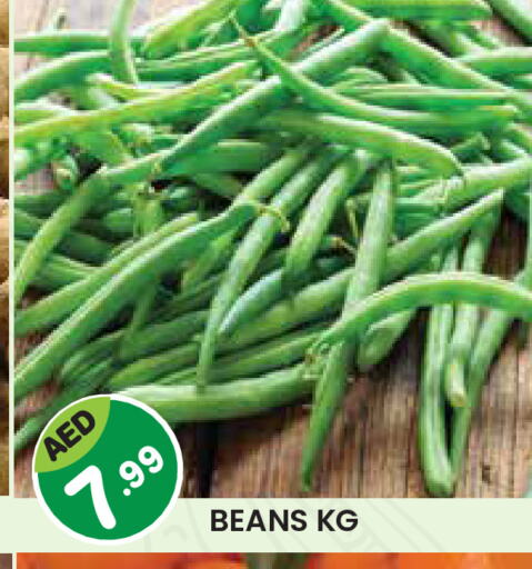 Beans available at Baniyas Spike  in UAE - Abu Dhabi