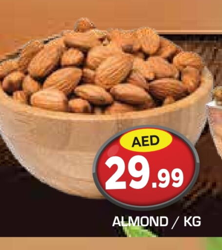 available at سنابل بني ياس in الإمارات العربية المتحدة , الامارات - أبو ظبي