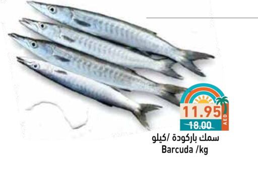 available at أسواق رامز in الإمارات العربية المتحدة , الامارات - رَأْس ٱلْخَيْمَة