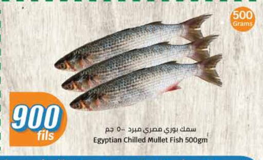 available at سيتي هايبرماركت in الكويت - محافظة الأحمدي