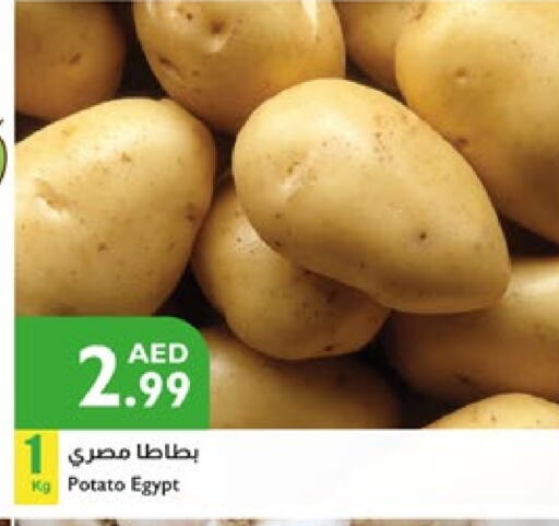 Potato from Egypt available at Istanbul Supermarket in UAE - Dubai