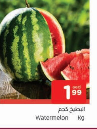 بطيخ available at المدينة in الإمارات العربية المتحدة , الامارات - الشارقة / عجمان