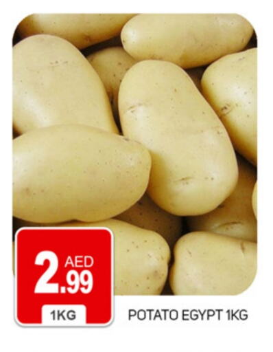 Potato from Egypt available at TALAL MARKET in UAE - Dubai