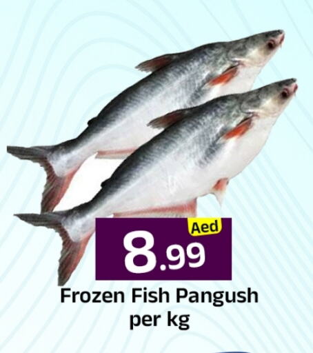 الأسماك الطازجة in مبارك هايبرماركت الشارقة, UAE Offers - الإمارات العربية المتحدة available at مبارك هايبرماركت الشارقة in الإمارات العربية المتحدة , الامارات - الشارقة / عجمان