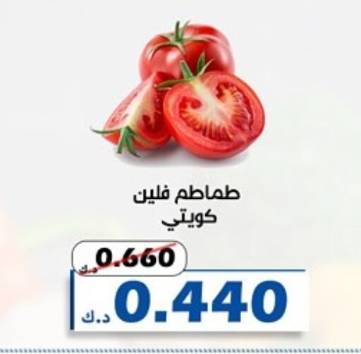 Tomato available at Al Khaldiya Society  in Kuwait - Kuwait City