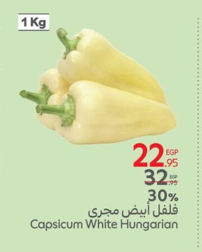 Chilli / Capsicum from Hungary available at Carrefour  in Egypt - Cairo