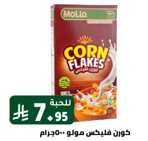 Cereals & Bars in Family Discount, Saudi Arabia Offers - Saudi Arabia Corn Flakes available at Family Discount in KSA, Saudi Arabia, Saudi - Riyadh