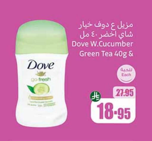 Cucumber available at Othaim Markets in KSA, Saudi Arabia, Saudi - Al Hasa