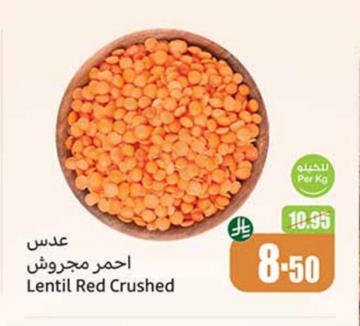 available at Othaim Markets in KSA, Saudi Arabia, Saudi - Tabuk
