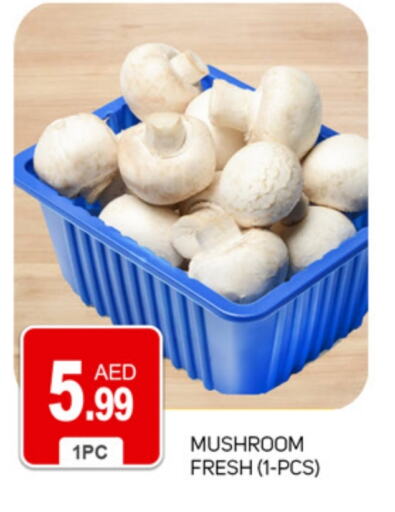 Mushroom available at TALAL MARKET in UAE - Dubai