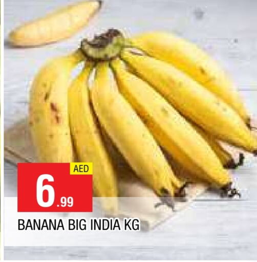 موز from India available at المدينة in الإمارات العربية المتحدة , الامارات - الشارقة / عجمان
