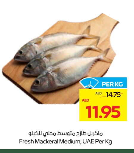 Fresh Fish in ADCOOP, UAE Offers - United Arab Emirates available at ADCOOP in UAE - Abu Dhabi