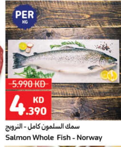 available at كارفور in الكويت - محافظة الأحمدي