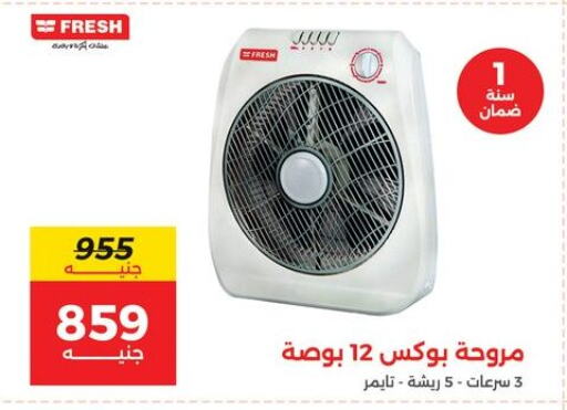 Small Appliances in Raneen, Egypt Offers - Egypt FRESH Fan available at Raneen in Egypt - Cairo