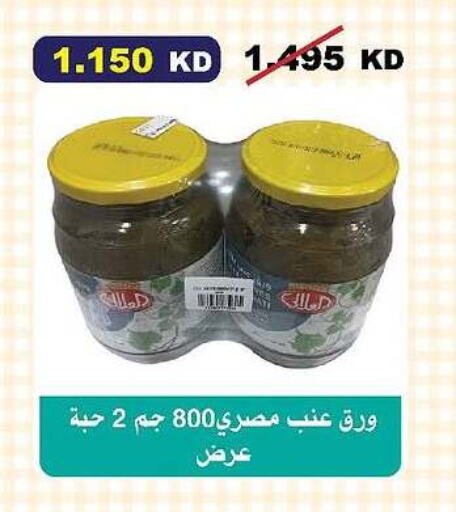 Canned & Packeted in Al-salam Co-operative Society, Kuwait Offers - Kuwait AL ALALI available at Al-salam Co-operative Society in Kuwait - Kuwait City