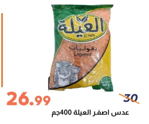 Pulses, Beans & Grains in Ghallab Market, Egypt Offers - Egypt available at Ghallab Market in Egypt - Cairo