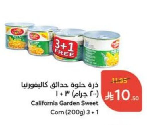 CALIFORNIA GARDEN available at Hyper Panda in KSA, Saudi Arabia, Saudi - Wadi ad Dawasir