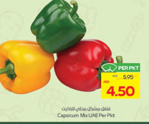 Capsicum available at ADCOOP in UAE - Al Ain
