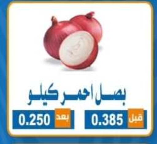 بصل available at جمعية ضاحية الشهداء التعاونية in الكويت - محافظة الأحمدي