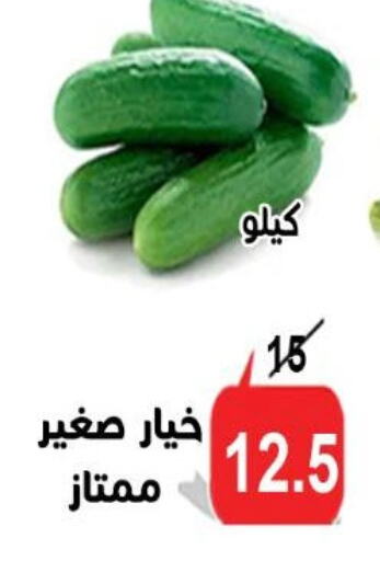Fresh Vegetables in Aldoneia Bkheir ismailia , Egypt Offers - Egypt Cucumber available at Aldoneia Bkheir ismailia in Egypt - Cairo