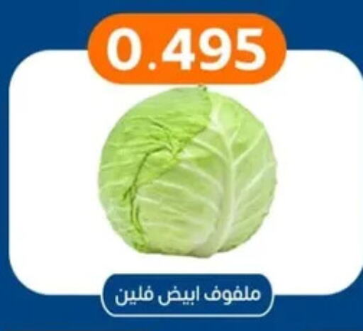 Cabbage available at Eshbelia Co-operative Society in Kuwait - Kuwait City