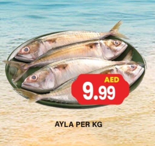 الأسماك الطازجة in جلف هايبرماركت ذ.م.م, UAE Offers - الإمارات العربية المتحدة available at جلف هايبرماركت ذ.م.م in الإمارات العربية المتحدة , الامارات - رَأْس ٱلْخَيْمَة