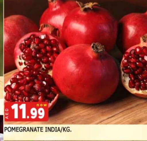 رمان from India available at المدينة in الإمارات العربية المتحدة , الامارات - الشارقة / عجمان