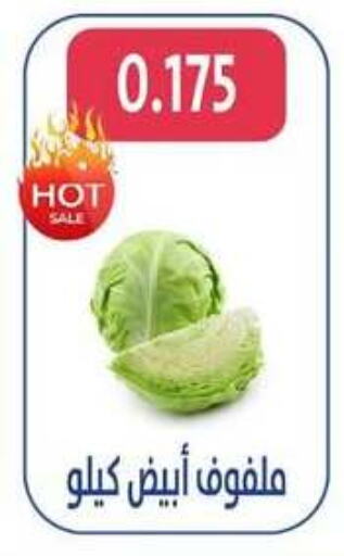 Cabbage available at Al Jahra Cooperative Society in Kuwait - Jahra Governorate