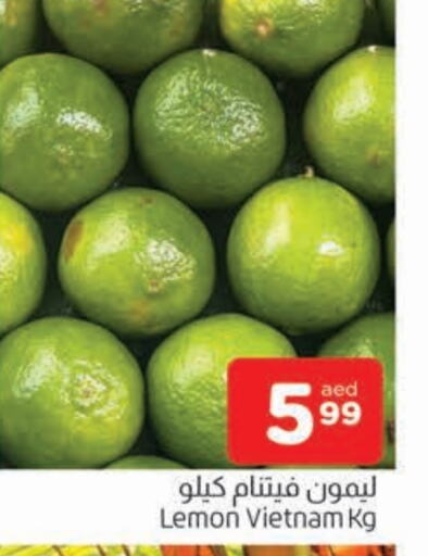 lemon from Vietnam available at AL MADINA in UAE - Sharjah / Ajman