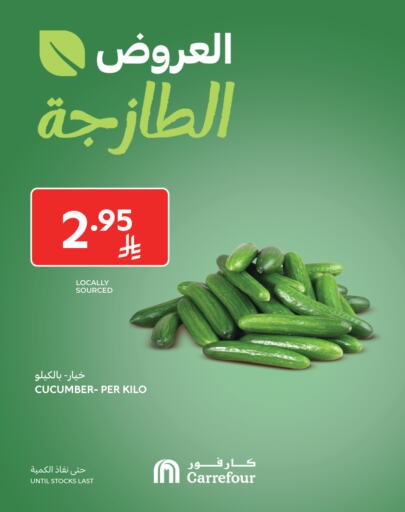 Cucumber available at Carrefour in KSA, Saudi Arabia, Saudi - Al Khobar