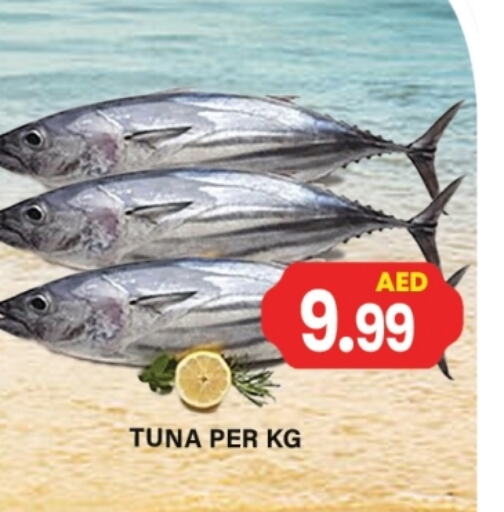 Tuna available at Gulf Hypermarket LLC in UAE - Ras al Khaimah