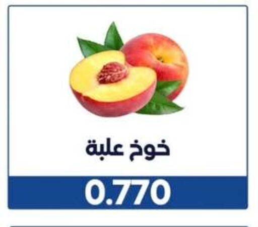خوخ available at جمعية الوفرة التعاونية in الكويت - محافظة الأحمدي