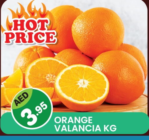 Orange from Valancia available at Fresh Spike Supermarket in UAE - Dubai