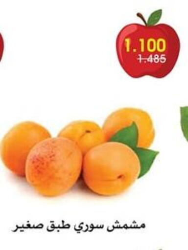 الفواكه المجففة و التمور in جمعية الروضة وحولي التعاونية, الكويت Offers - الكويت available at جمعية الروضة وحولي التعاونية in الكويت - مدينة الكويت